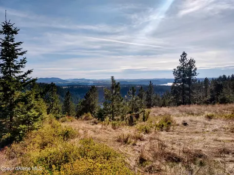 Nna Alamo Rd, Harrison, ID 83833 photo 20