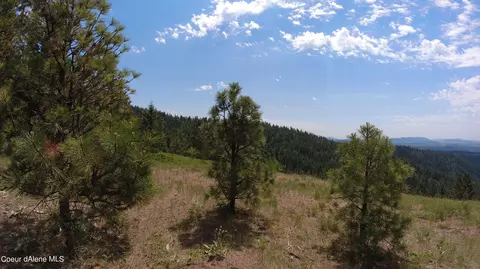 Nna Alamo Rd, Harrison, ID 83833 photo 10