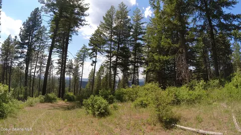 Nna Alamo Rd, Harrison, ID 83833 photo 31