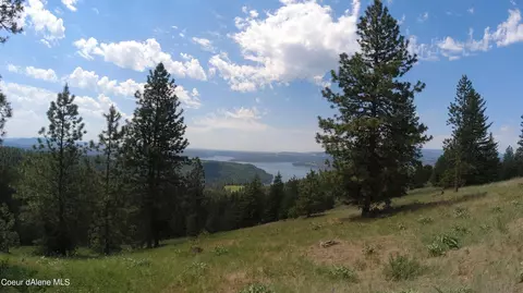 Nna Alamo Rd, Harrison, ID 83833 photo 27