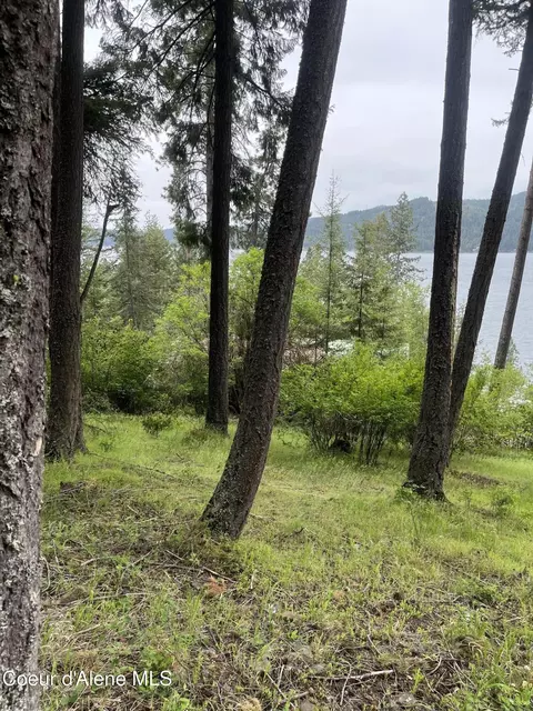 233 E Driftwood Heights Dr, Harrison, ID 83833 photo 13