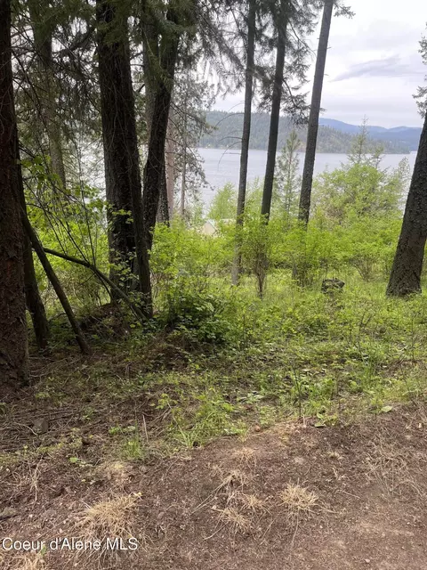 233 E Driftwood Heights Dr, Harrison, ID 83833 photo 11