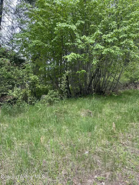 233 E Driftwood Heights Dr, Harrison, ID 83833 photo 16