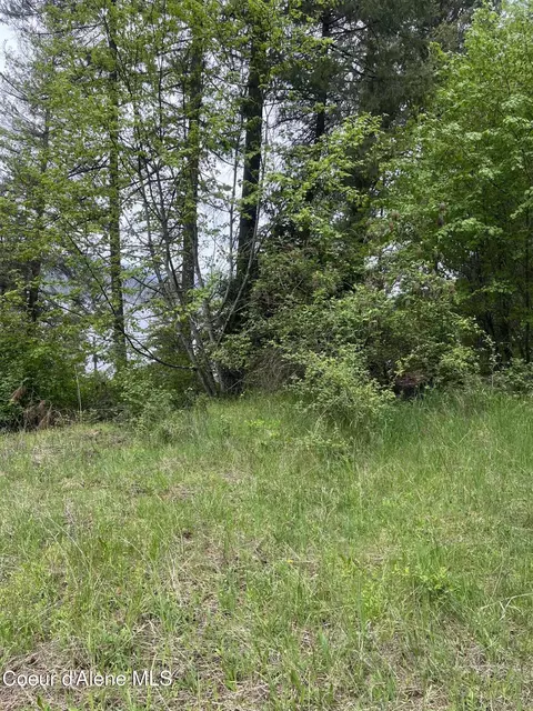 233 E Driftwood Heights Dr, Harrison, ID 83833 photo 17