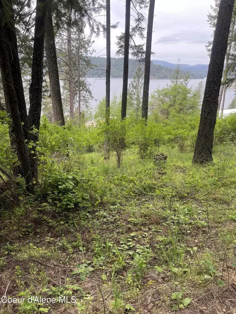 233 E Driftwood Heights Dr, Harrison, ID 83833 photo 15