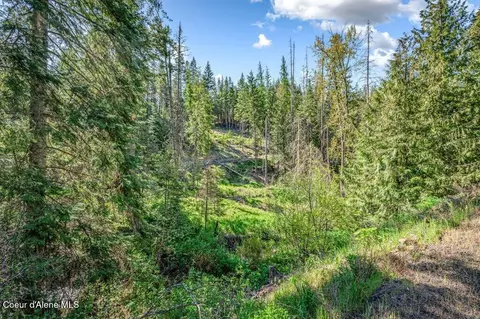 Nka E Burma Rd, Harrison, ID 83833 photo 26