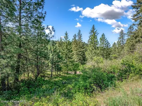 Nka E Burma Rd, Harrison, ID 83833 photo 7