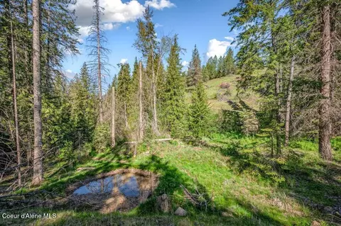 Nka E Burma Rd, Harrison, ID 83833 photo 24