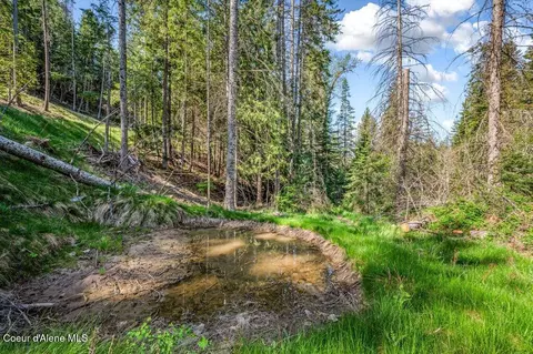 Nka E Burma Rd, Harrison, ID 83833 photo 18