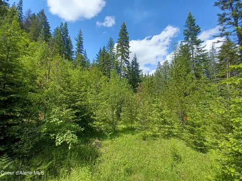 127 Coyote Trl, Priest River, ID 83856