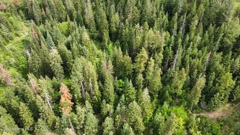 Nka Grandmas Way, Saint Maries, ID 83861