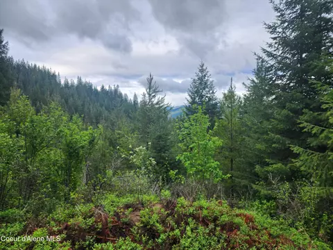 370 Hemlock Ln, Fernwood, ID 83830