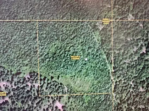 10 Acres Bill Morris Rd, Plummer, ID 83851 photo 3