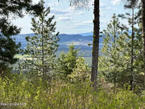 10 Acres Bill Morris Rd, Plummer, ID 83851 photo 16
