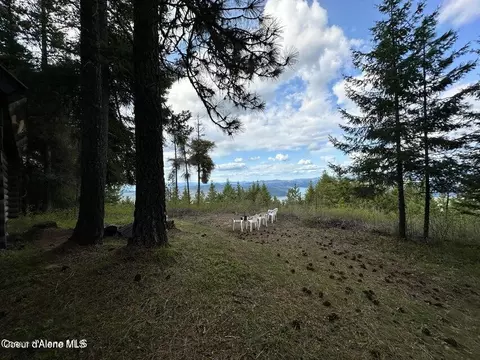10 Acres Bill Morris Rd, Plummer, ID 83851 photo 12