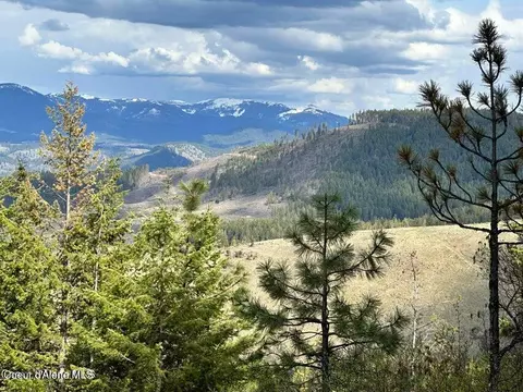 10 Acres Bill Morris Rd, Plummer, ID 83851 photo 19