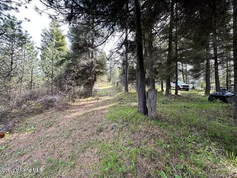 10 Acres Bill Morris Rd, Plummer, ID 83851 photo 14