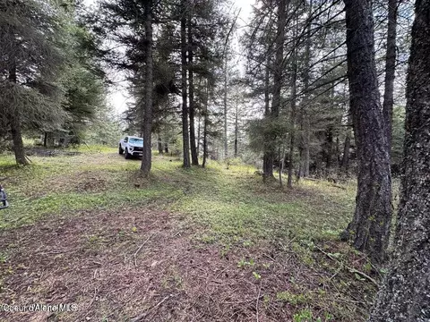 10 Acres Bill Morris Rd, Plummer, ID 83851 photo 11
