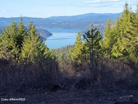 10 Acres Bill Morris Rd, Plummer, ID 83851 photo 5