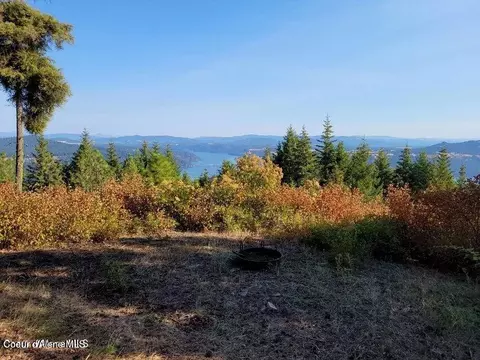 10 Acres Bill Morris Rd, Plummer, ID 83851