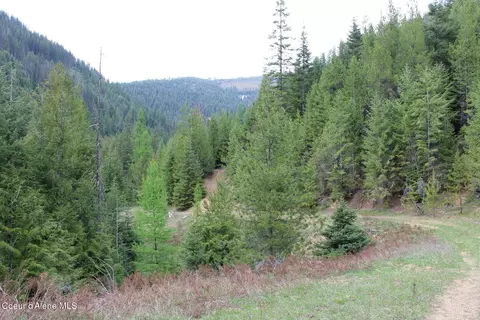19 Daisy Gulch Rd # A, Mullan, ID 83846