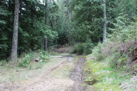 19 Daisy Gulch Rd # A, Mullan, ID 83846 photo 28