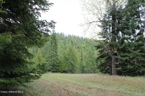 19 Daisy Gulch Rd # A, Mullan, ID 83846 photo 21