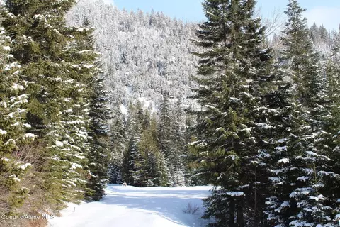 19 Daisy Gulch Rd # A, Mullan, ID 83846 photo 15