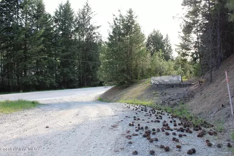 19 Daisy Gulch Rd # A, Mullan, ID 83846 photo 31