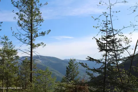 19 Daisy Gulch Rd # A, Mullan, ID 83846 photo 29