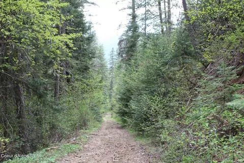 19 Daisy Gulch Rd # A, Mullan, ID 83846 photo 25