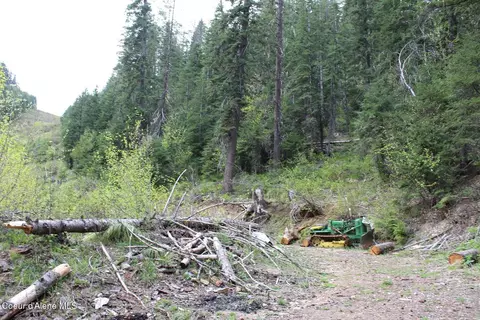 19 Daisy Gulch Rd # A, Mullan, ID 83846 photo 27