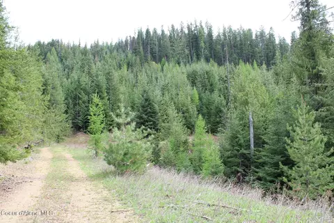19 Daisy Gulch Rd # A, Mullan, ID 83846 photo 4