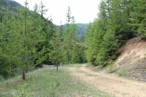 19 Daisy Gulch Rd # A, Mullan, ID 83846 photo 16