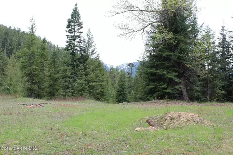 19 Daisy Gulch Rd # A, Mullan, ID 83846 photo 5