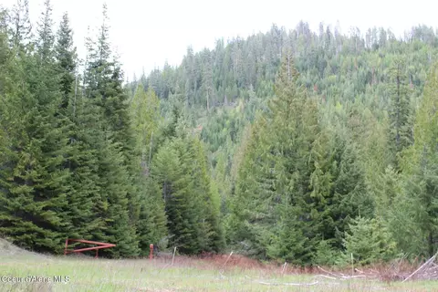 19 Daisy Gulch Rd # A, Mullan, ID 83846 photo 19