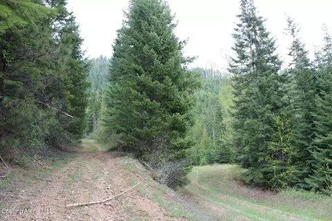 19 Daisy Gulch Rd # A, Mullan, ID 83846 photo 22