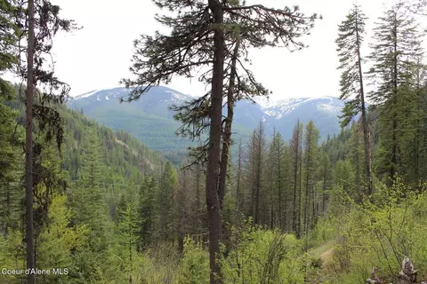 19 Daisy Gulch Rd # A, Mullan, ID 83846 photo 10