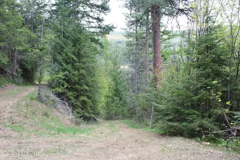 19 Daisy Gulch Rd # A, Mullan, ID 83846 photo 26
