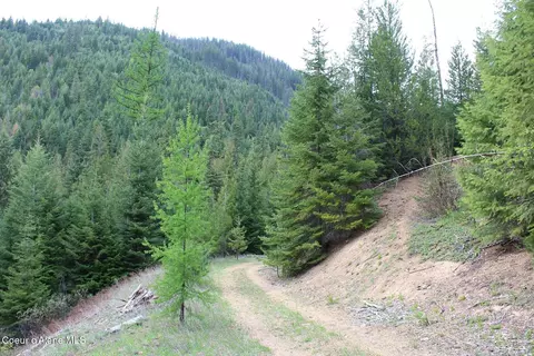 19 Daisy Gulch Rd # A, Mullan, ID 83846 photo 18