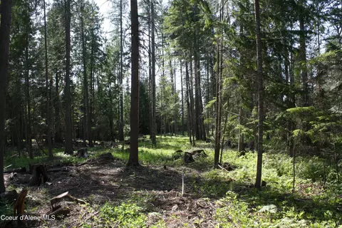 Nka River Lake Dr, Clark Fork, ID 83811