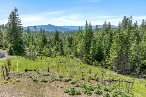 2056 Echo Canyon Dr, Harrison, ID 83833 photo 4