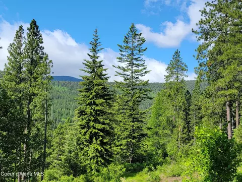 Nna Snowcat Lane Tract 2, Bonners Ferry, ID 83805