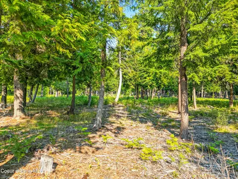 125 Ranch Rd, Naples, ID 83847 photo 20