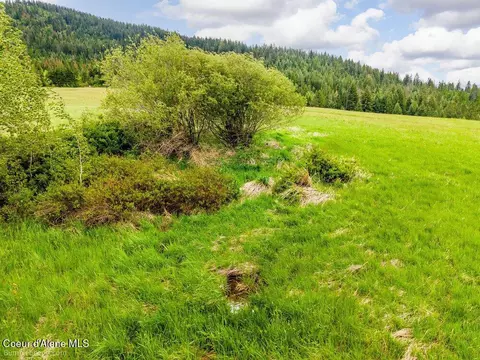 Tract D Thimbleberry Lane, Plummer, ID 83851 photo 12
