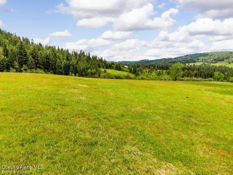 Tract D Thimbleberry Lane, Plummer, ID 83851 photo 7