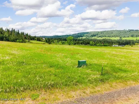 Tract D Thimbleberry Lane, Plummer, ID 83851 photo 9