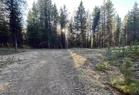 162 Coopers Ln, Dixie, WA 83525