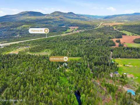 View/Area - 80 Rodeo Rd, Athol, ID 83801 photo 3 of 4