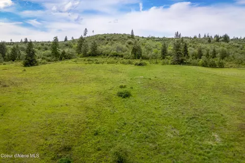 463 Rawhide Dr, Plummer, ID 83851 photo 10